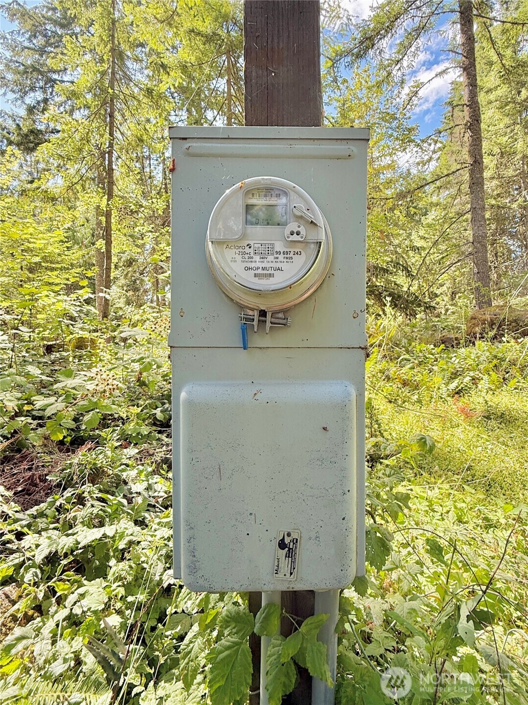 49923 146th Avenue E Eatonville WA 98328