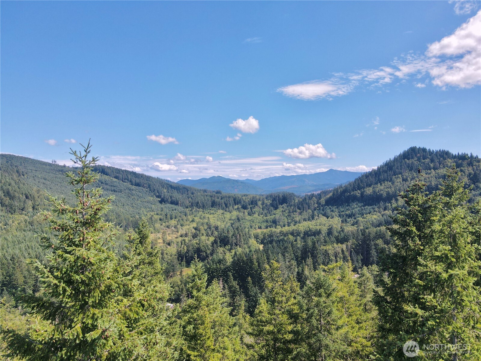 49923 146th Avenue E Eatonville WA 98328