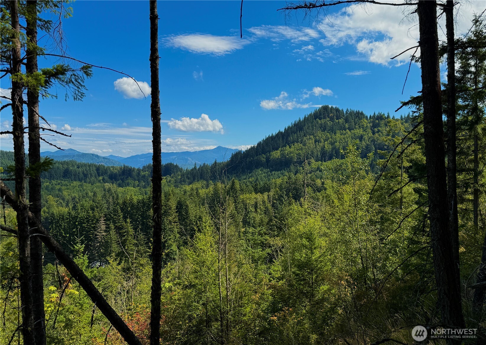 49923 146th Avenue E Eatonville WA 98328