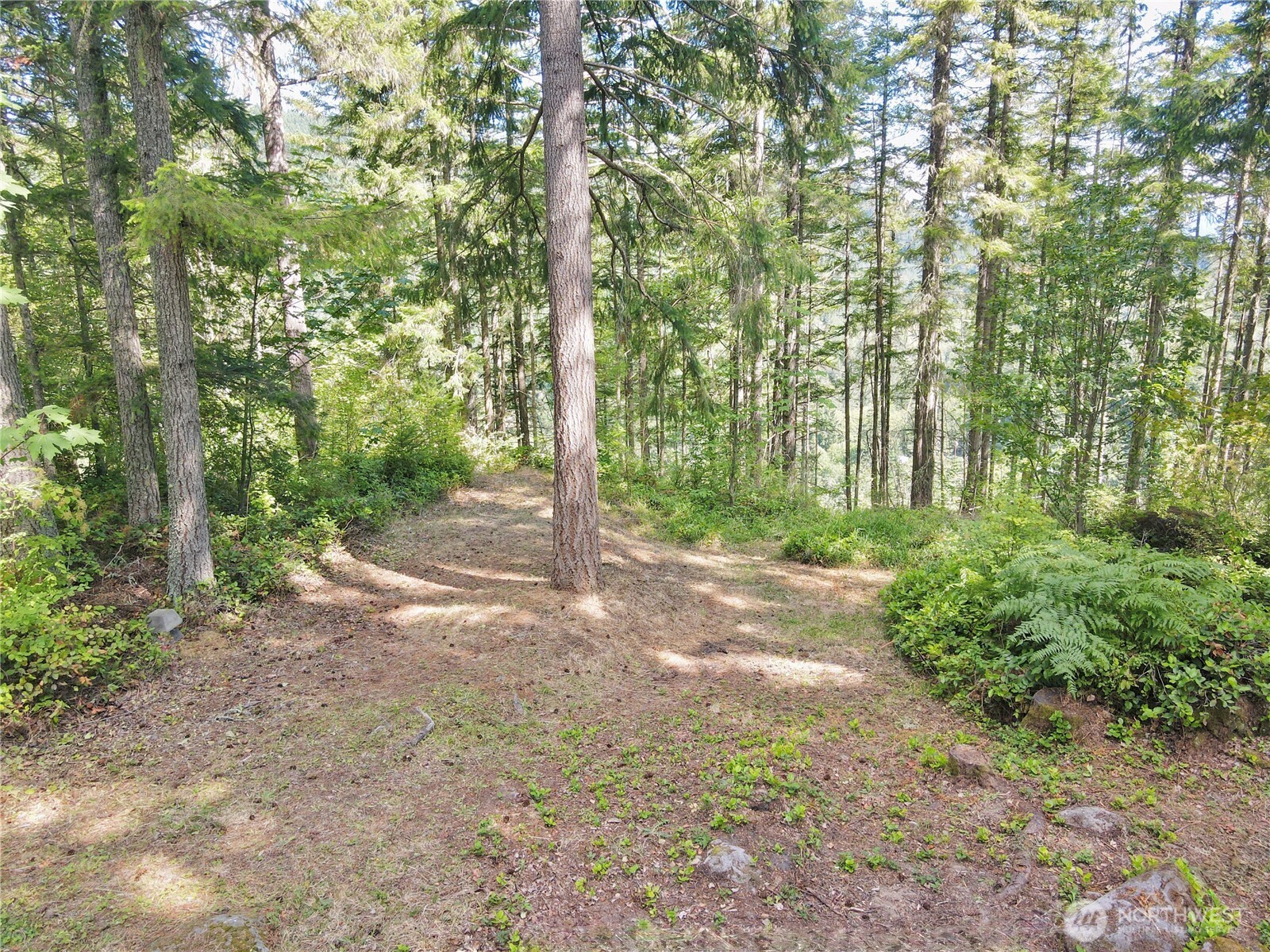 49923 146th Avenue E Eatonville WA 98328