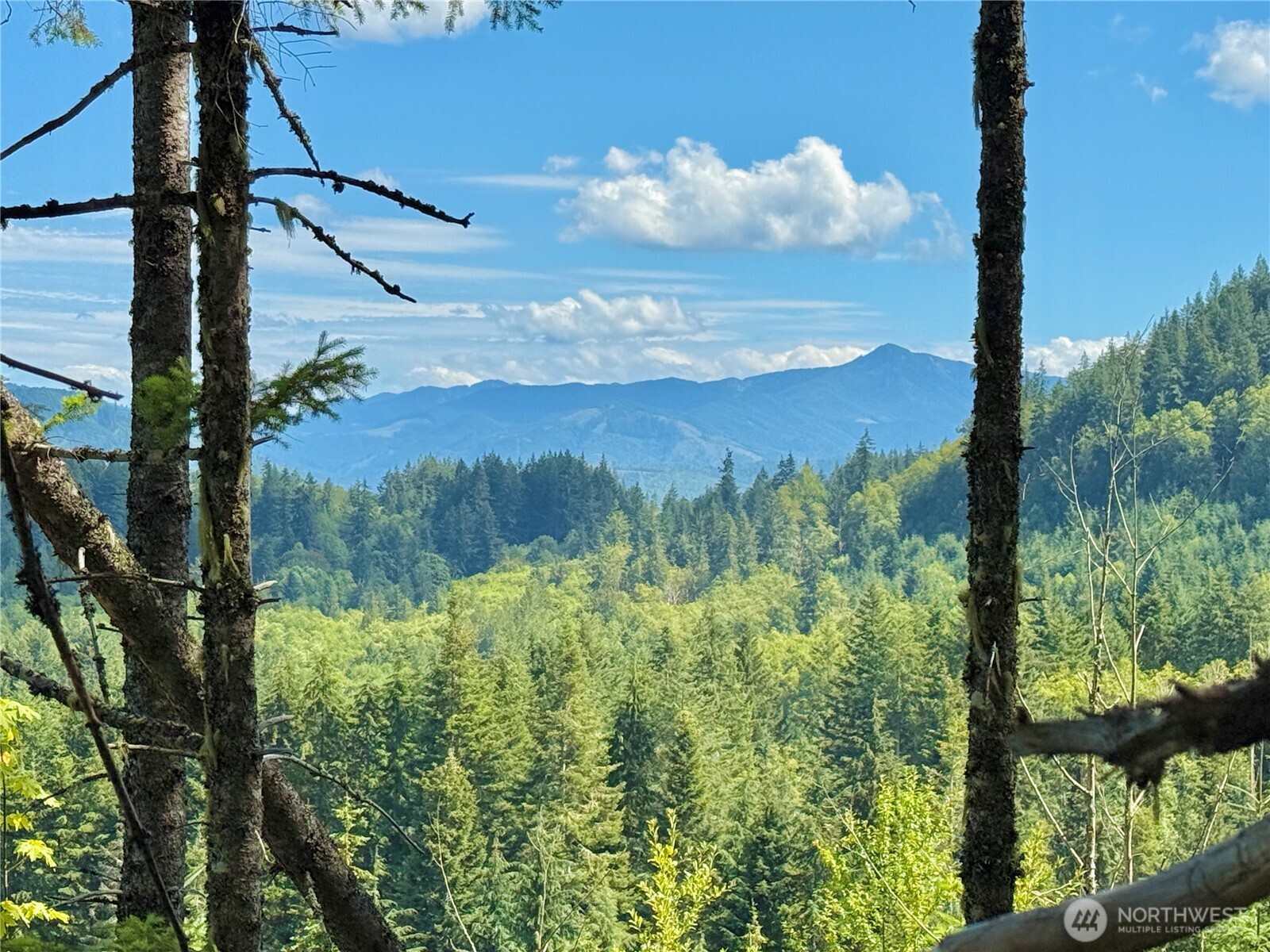 49923 146th Avenue E Eatonville WA 98328