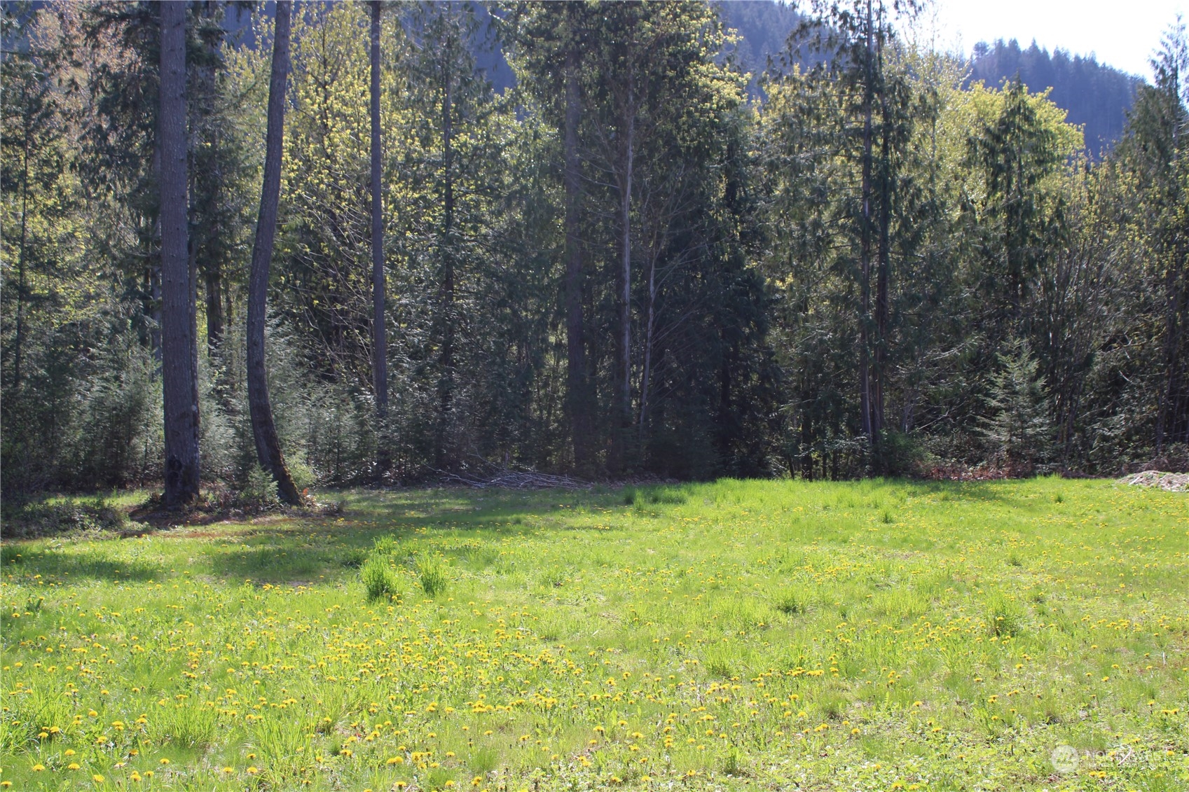 60 Wilderness Drive Concrete WA 98237