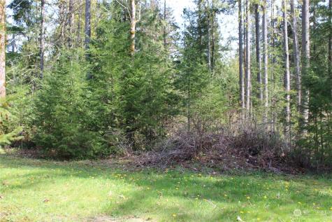 60 Wilderness Drive Concrete WA 98237