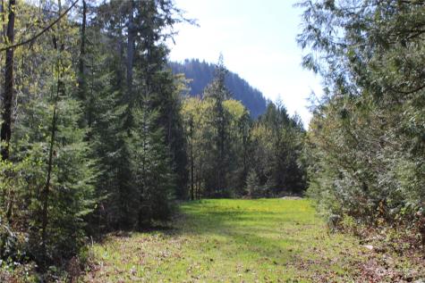 60 Wilderness Drive Concrete WA 98237