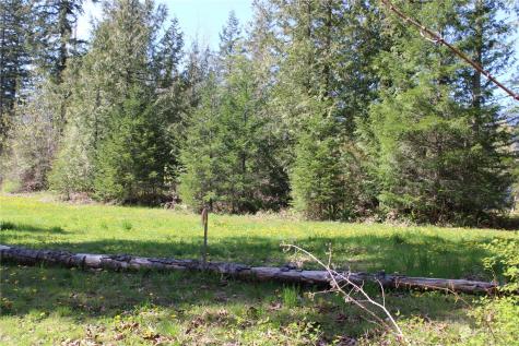 60 Wilderness Drive Concrete WA 98237