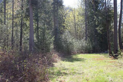 60 Wilderness Drive Concrete WA 98237