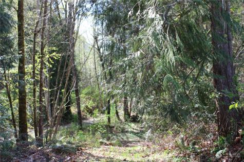 60 Wilderness Drive Concrete WA 98237