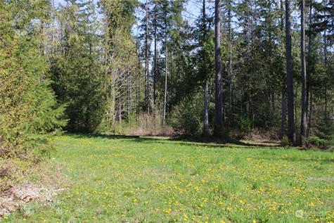 60 Wilderness Drive Concrete WA 98237