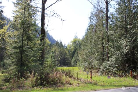 60 Wilderness Drive Concrete WA 98237