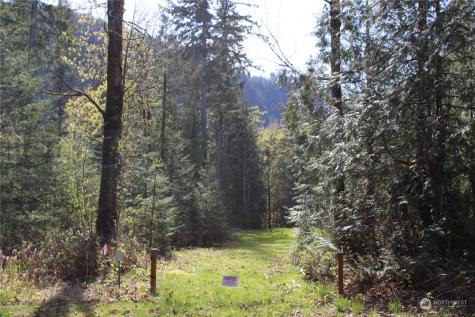 60 Wilderness Drive Concrete WA 98237