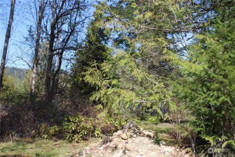60 Wilderness Drive Concrete WA 98237
