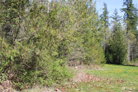 60 Wilderness Drive Concrete WA 98237