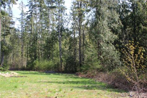 60 Wilderness Drive Concrete WA 98237