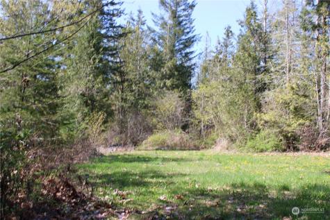 60 Wilderness Drive Concrete WA 98237