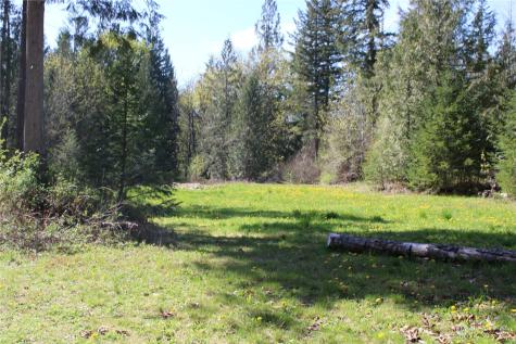 60 Wilderness Drive Concrete WA 98237