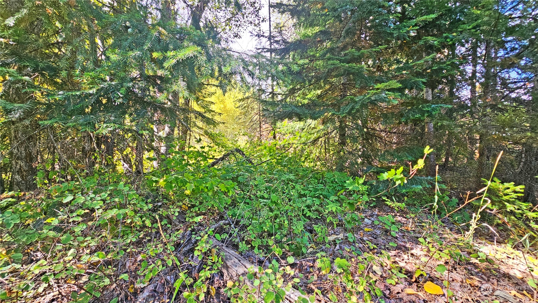 0 Teanaway Middle Fork Road Cle Elum WA 98922