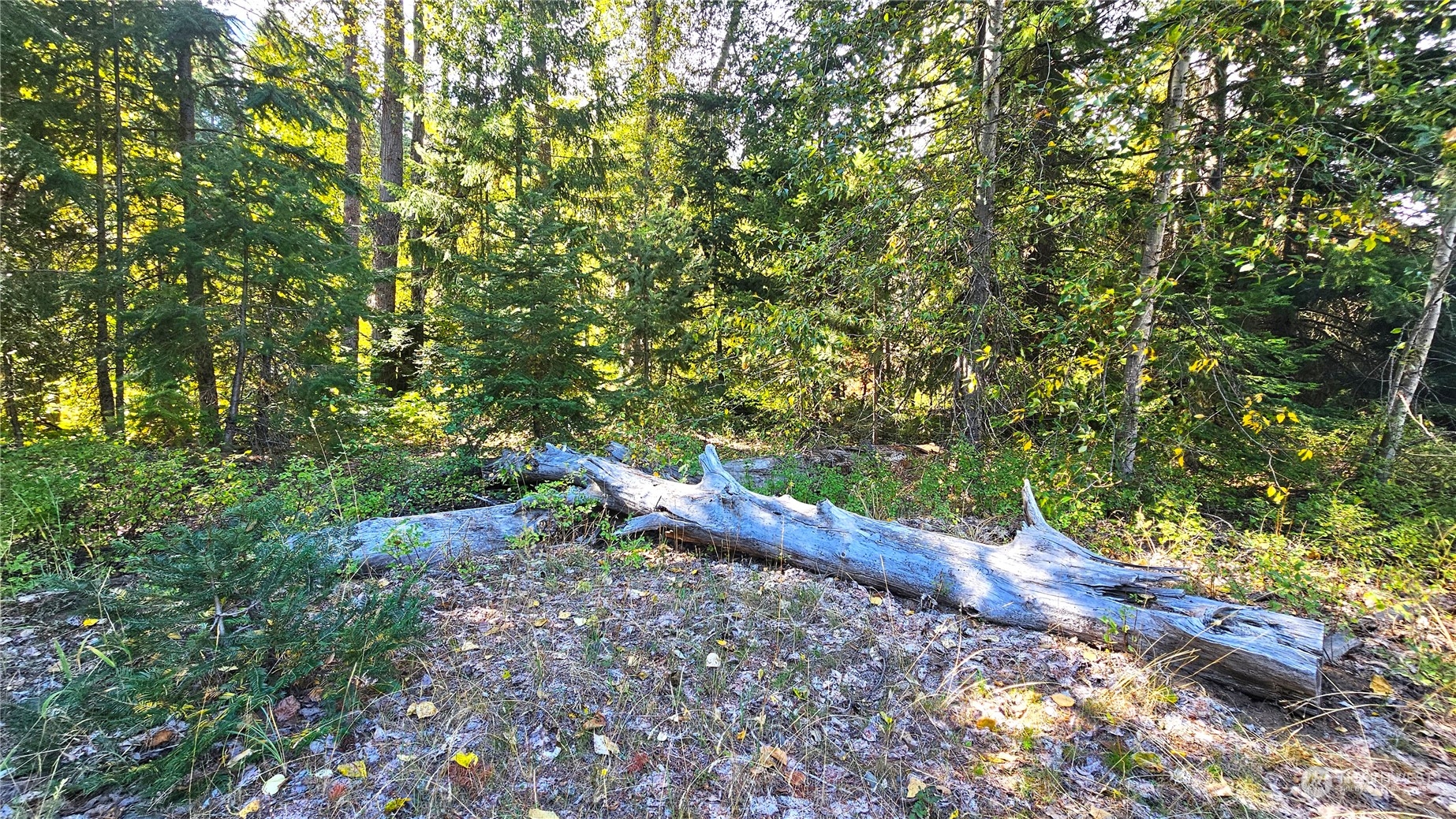 0 Teanaway Middle Fork Road Cle Elum WA 98922