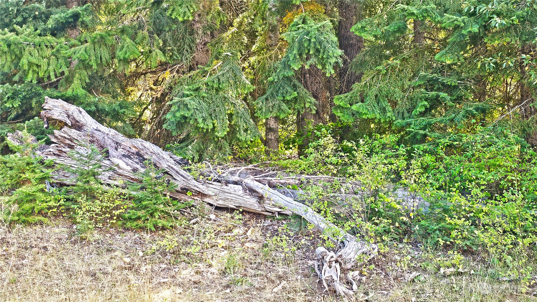 0 Teanaway Middle Fork Road Cle Elum WA 98922