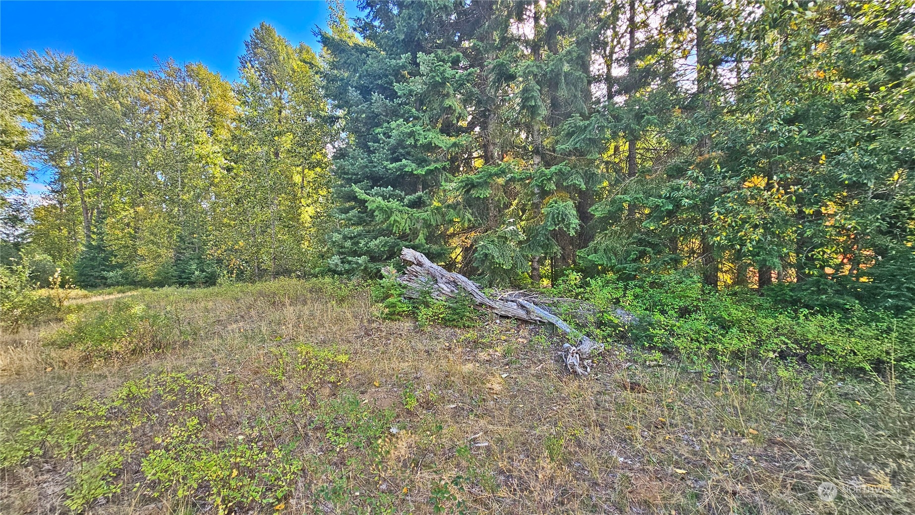 0 Teanaway Middle Fork Road Cle Elum WA 98922