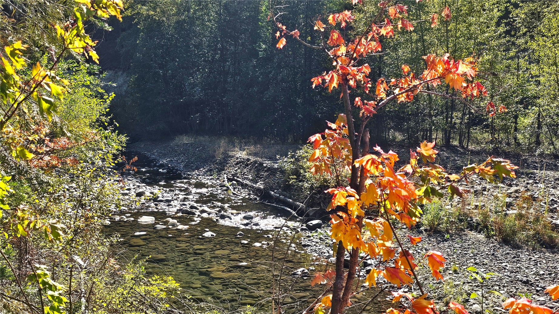 0 Teanaway Middle Fork Road Cle Elum WA 98922