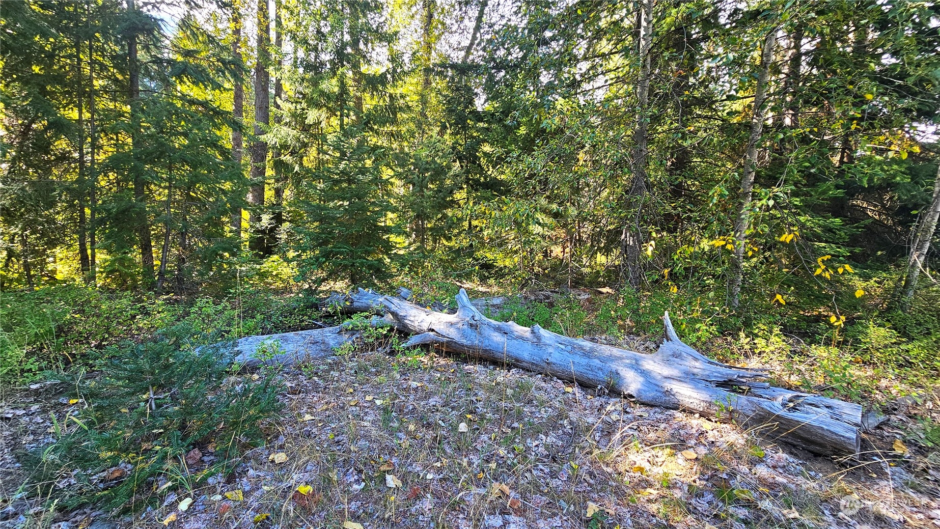 0 Teanaway Middle Fork Road Cle Elum WA 98922