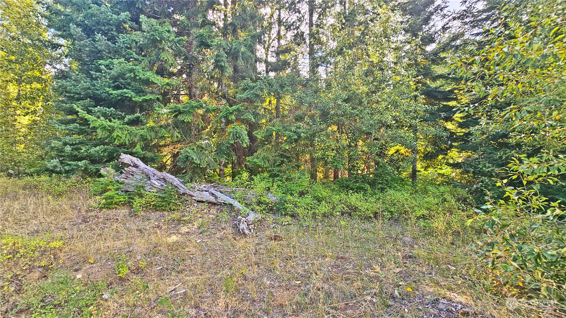 0 Teanaway Middle Fork Road Cle Elum WA 98922