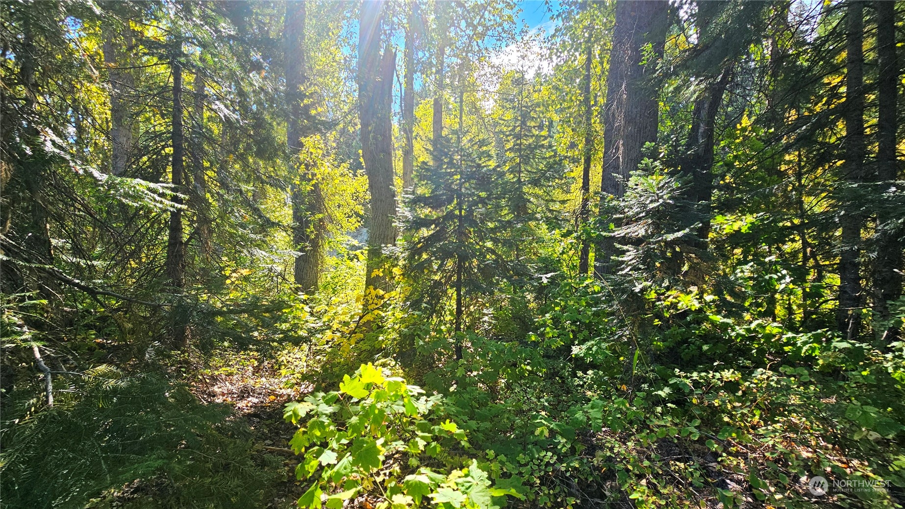 0 Teanaway Middle Fork Road Cle Elum WA 98922