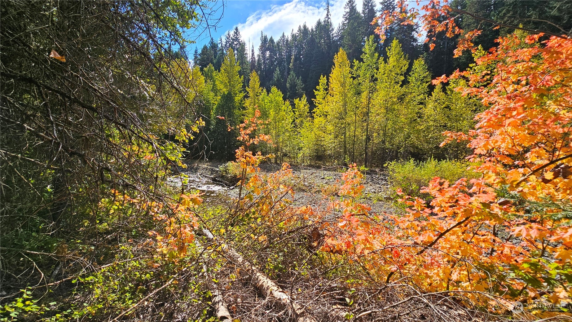 0 Teanaway Middle Fork Road Cle Elum WA 98922