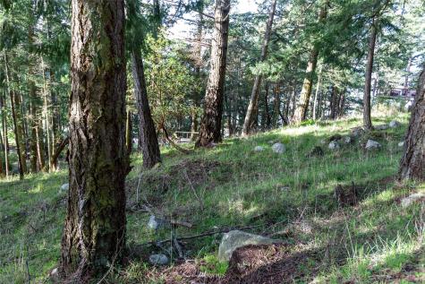 0 Afterglow Drive San Juan Island WA 98250