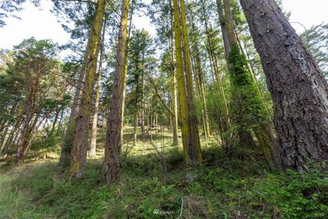 0 Afterglow Drive San Juan Island WA 98250