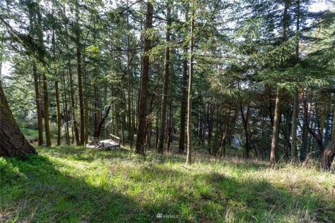 0 Afterglow Drive San Juan Island WA 98250