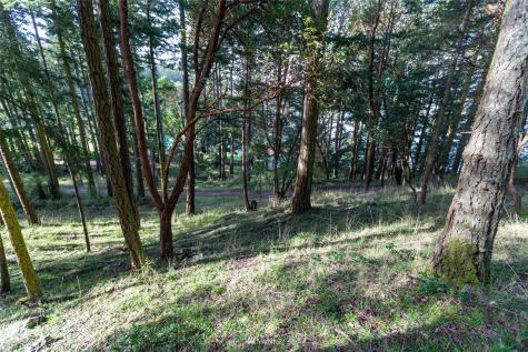 0 Afterglow Drive San Juan Island WA 98250