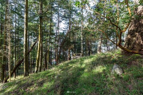 0 Afterglow Drive San Juan Island WA 98250