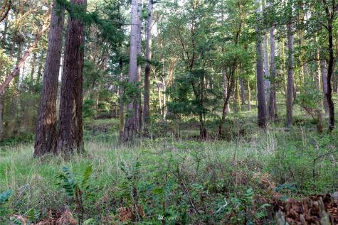 0 Afterglow Drive San Juan Island WA 98250