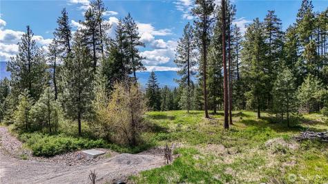 1631 Creekside Road Cle Elum WA 98922