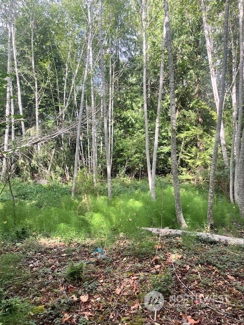 70 E Lupine Place Shelton WA 98584