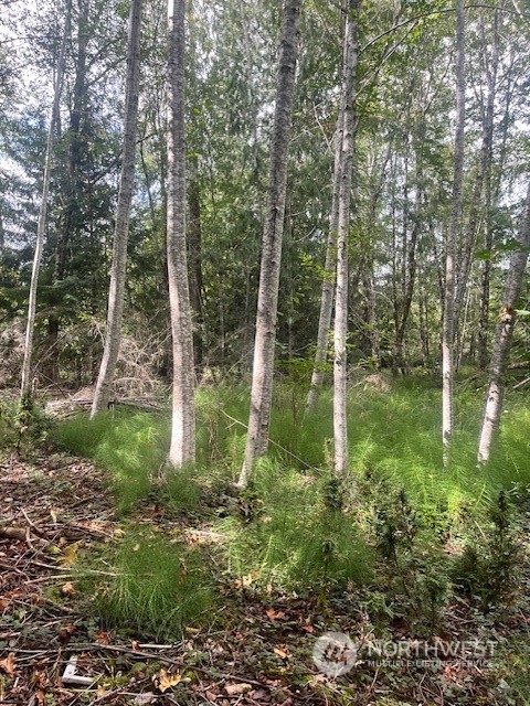 70 E Lupine Place Shelton WA 98584