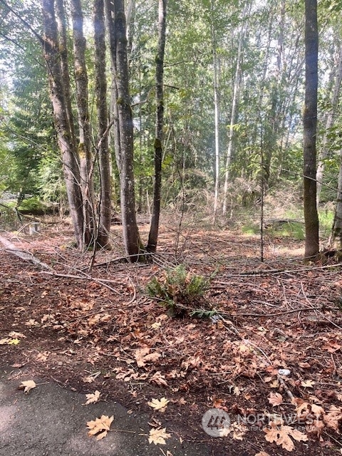 70 E Lupine Place Shelton WA 98584