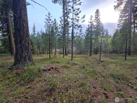 15 Old Grove Trail Cle Elum WA 98922