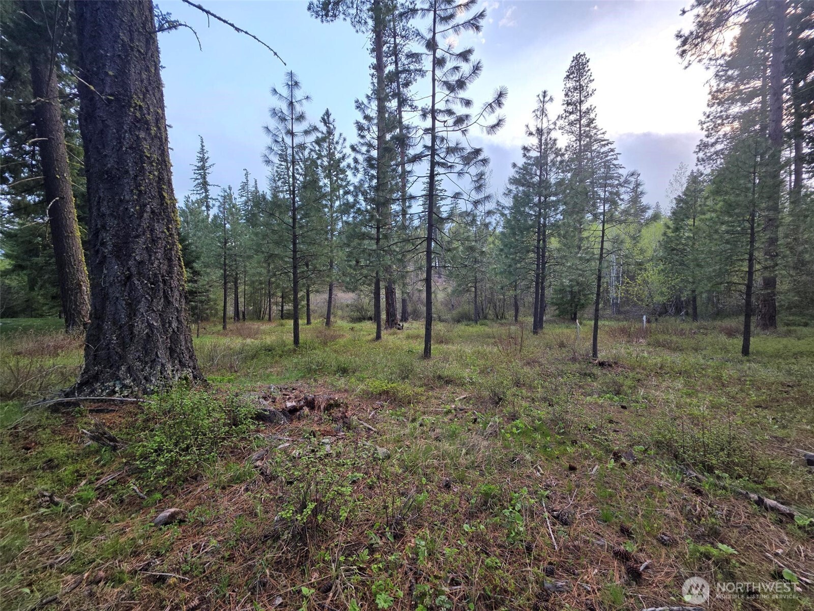 15 Old Grove Trail Cle Elum WA 98922