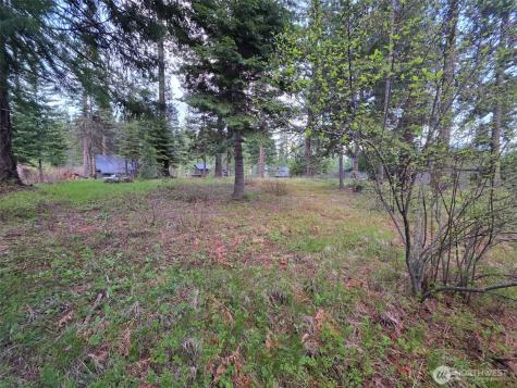 15 Old Grove Trail Cle Elum WA 98922