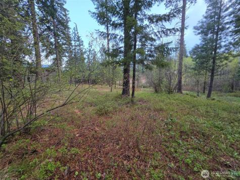 15 Old Grove Trail Cle Elum WA 98922