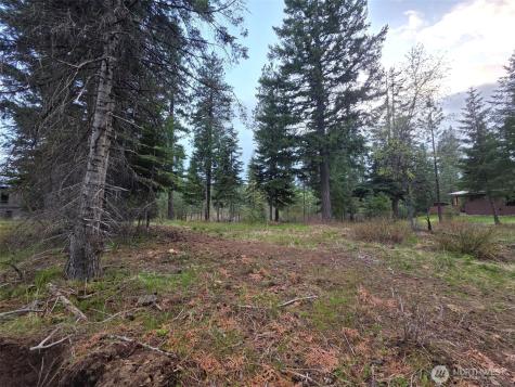 15 Old Grove Trail Cle Elum WA 98922