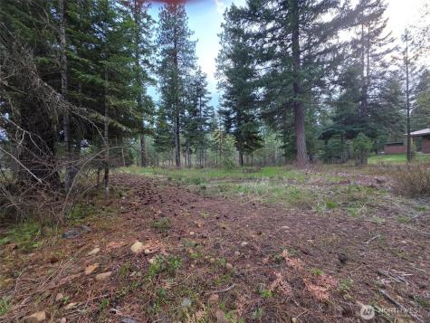 15 Old Grove Trail Cle Elum WA 98922