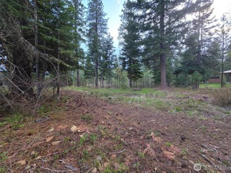 15 Old Grove Trail Cle Elum WA 98922