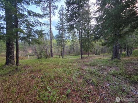 15 Old Grove Trail Cle Elum WA 98922