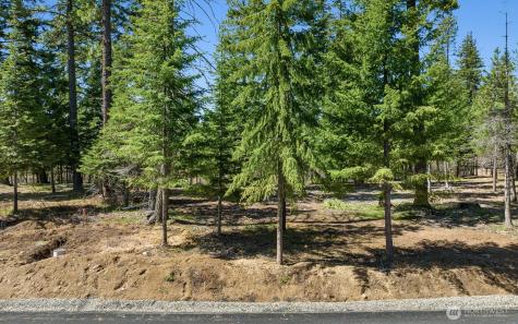 15 Old Grove Trail Cle Elum WA 98922