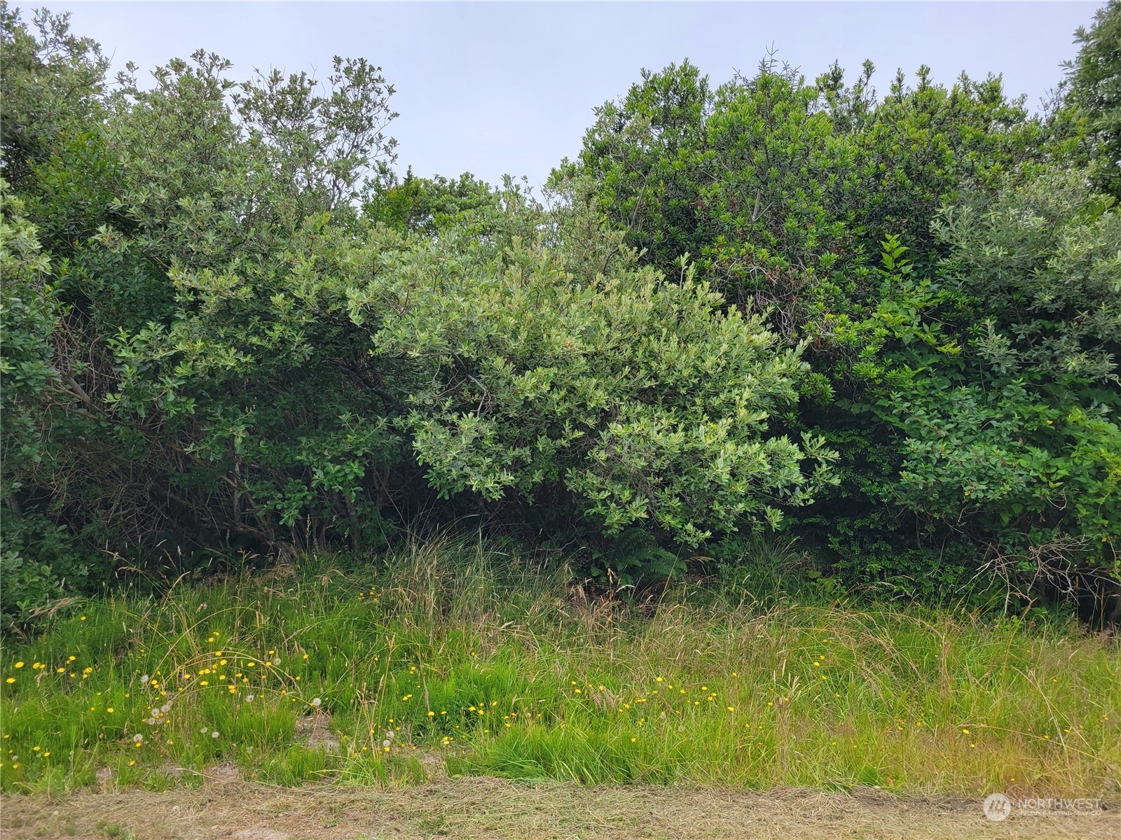 1051 Fairwood Drive Sw Ocean Shores WA 98569