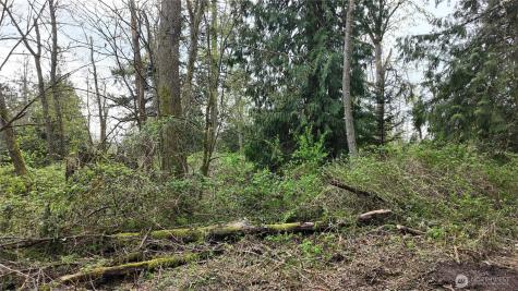 17584 Allen Road Bow WA 98232
