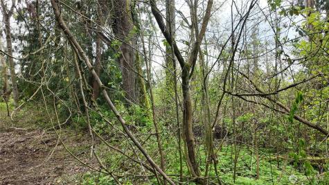 17584 Allen Road Bow WA 98232